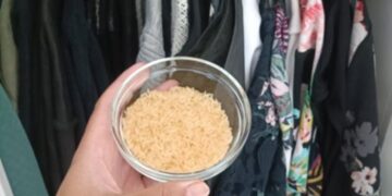 Waarom steeds meer mensen een kommetje rijst in de kledingkast zetten