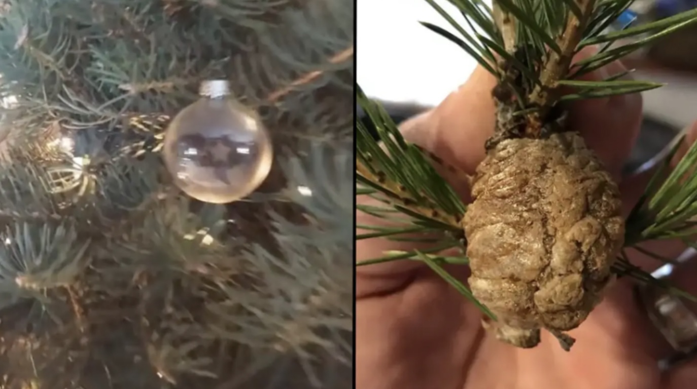 LET OP: Deze rare ‘klomp’ in je kerstboom is geen dennenappel. De waarheid bezorgt je kippenvel!