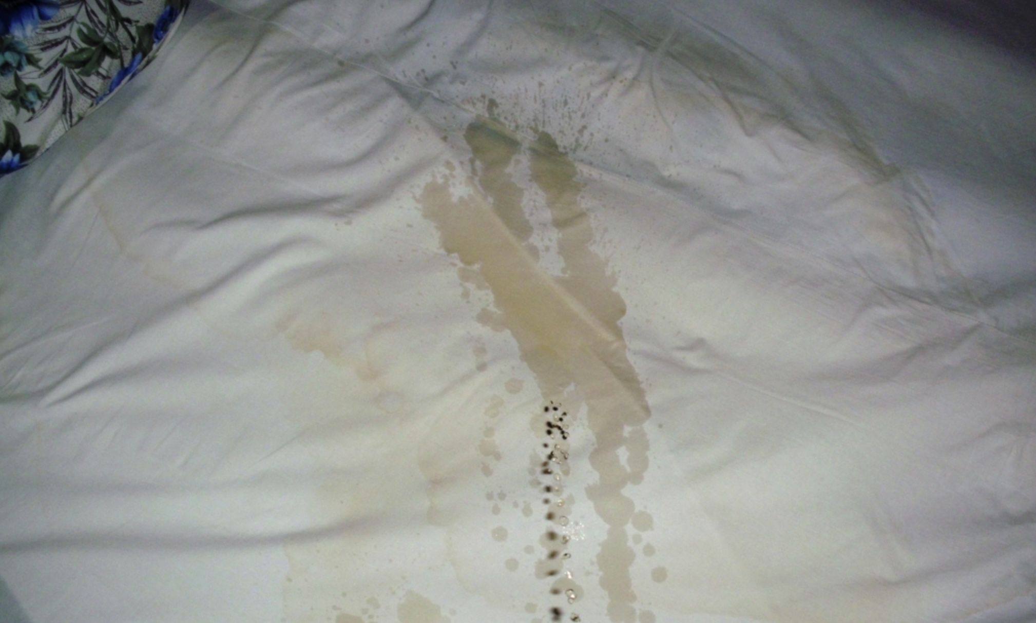 Experts luiden noodklok: Dit is waarom je altijd je beddengoed moet wassen voordat je er in slaapt!