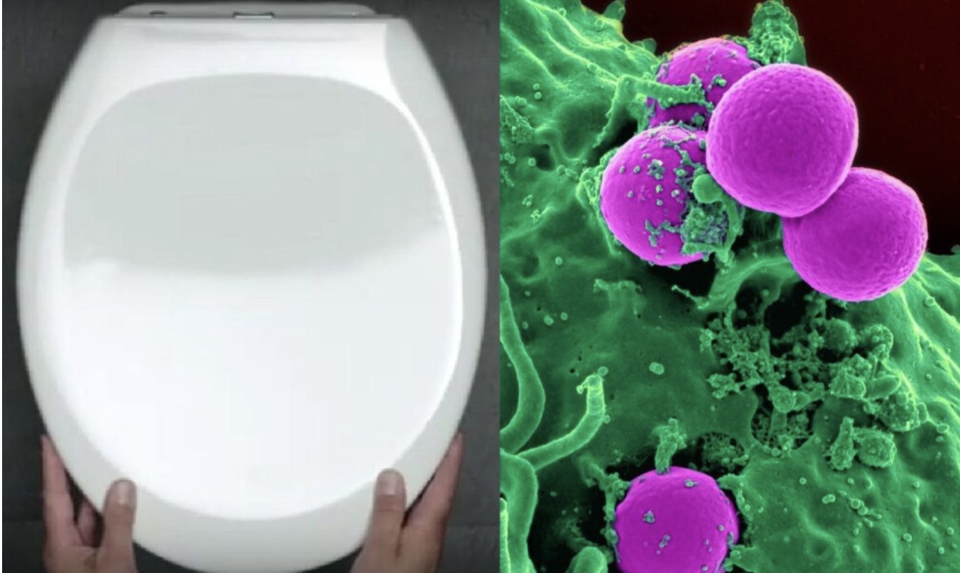 OPGELET: Dit is het grote gevaar als je het toilet op de verkeerde manier doortrekt