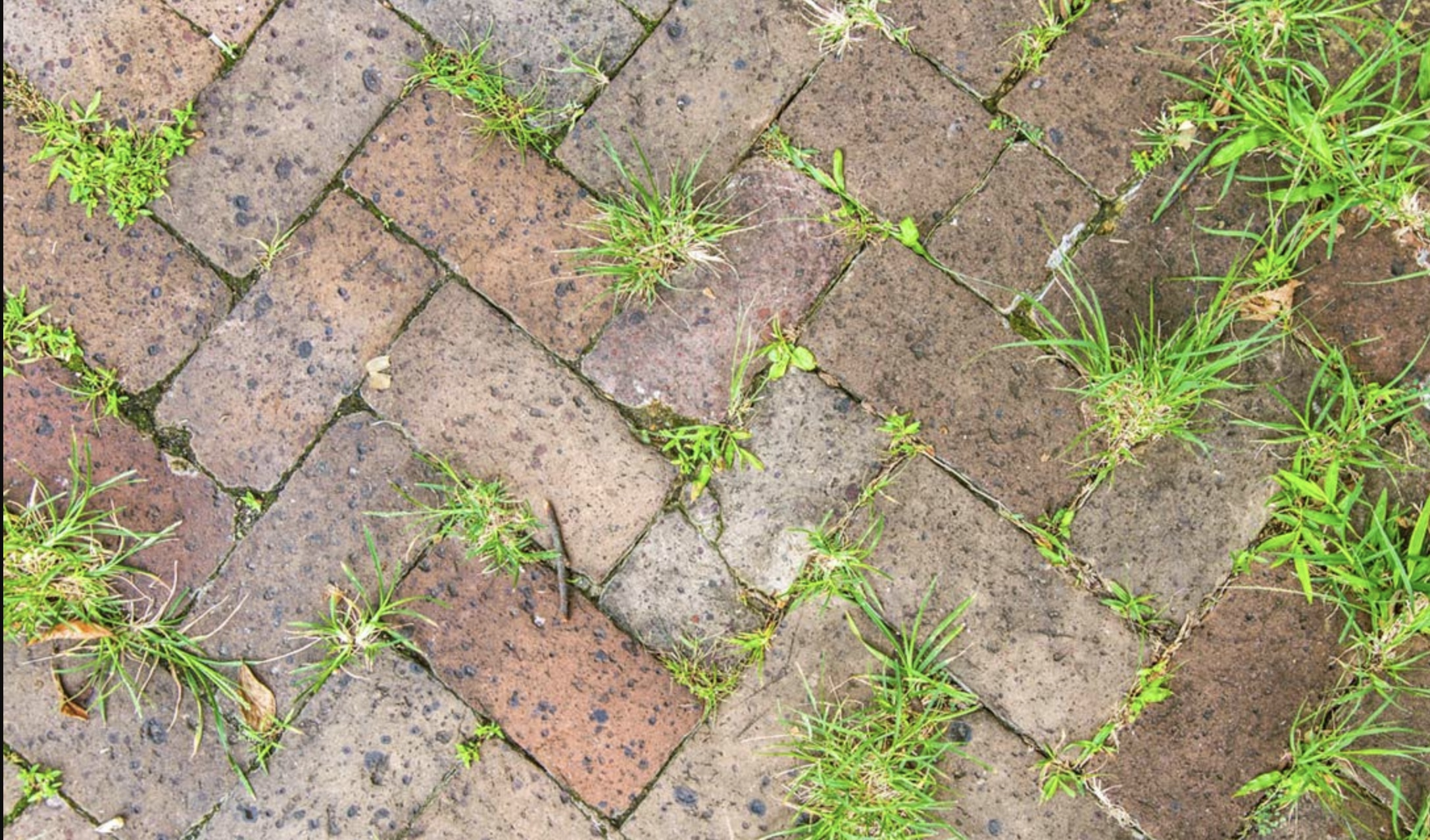 Onkruid tussen je tegels? Dit is geen probleem voor dit goedkope apparaat van de Action