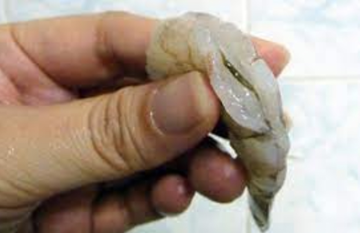 9 feiten over voedingsmiddelen die in jouw kastjes staan