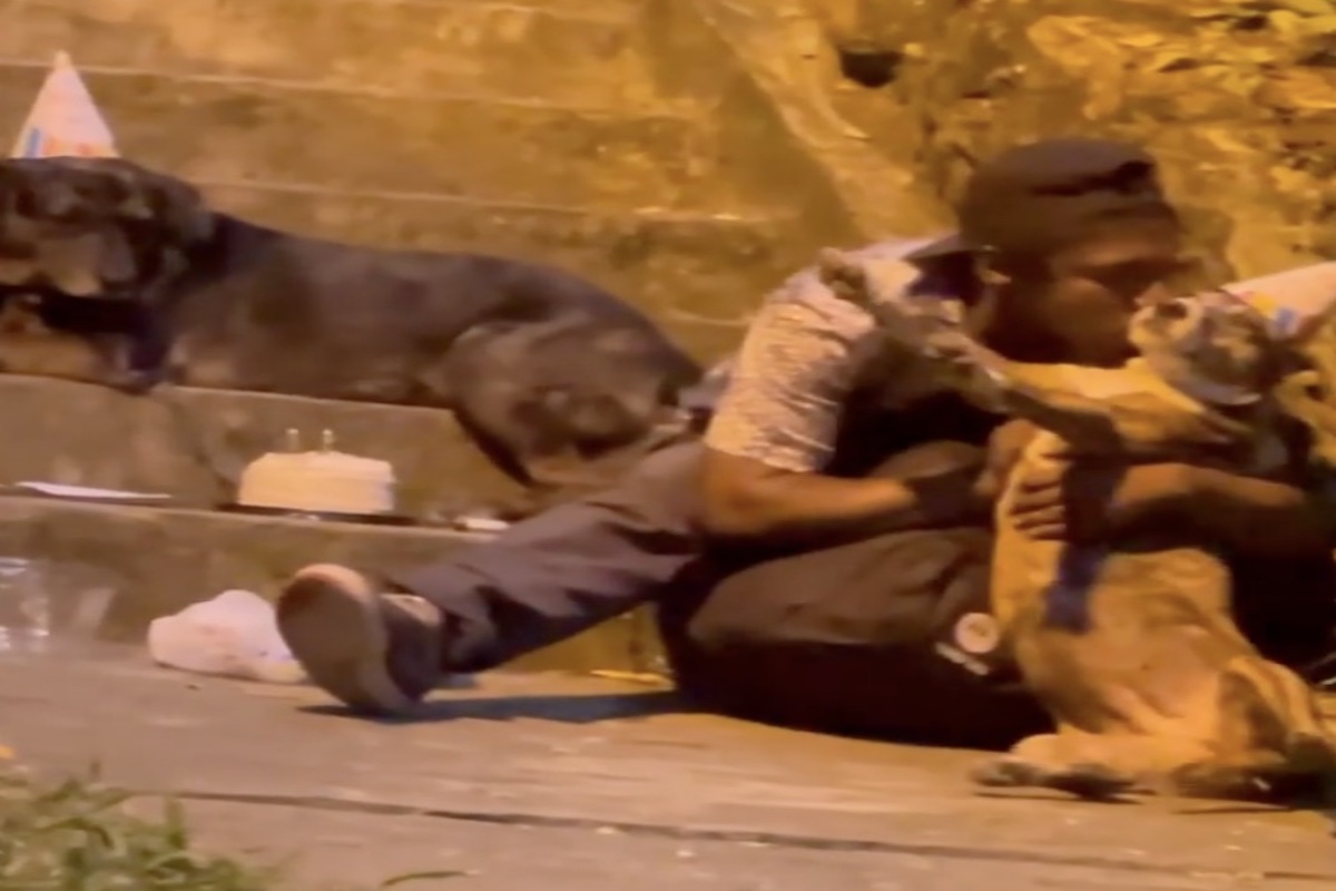 Man fotografeert dakloze man die verjaardagsfeestje geeft voor zijn honden en verandert zijn leven
