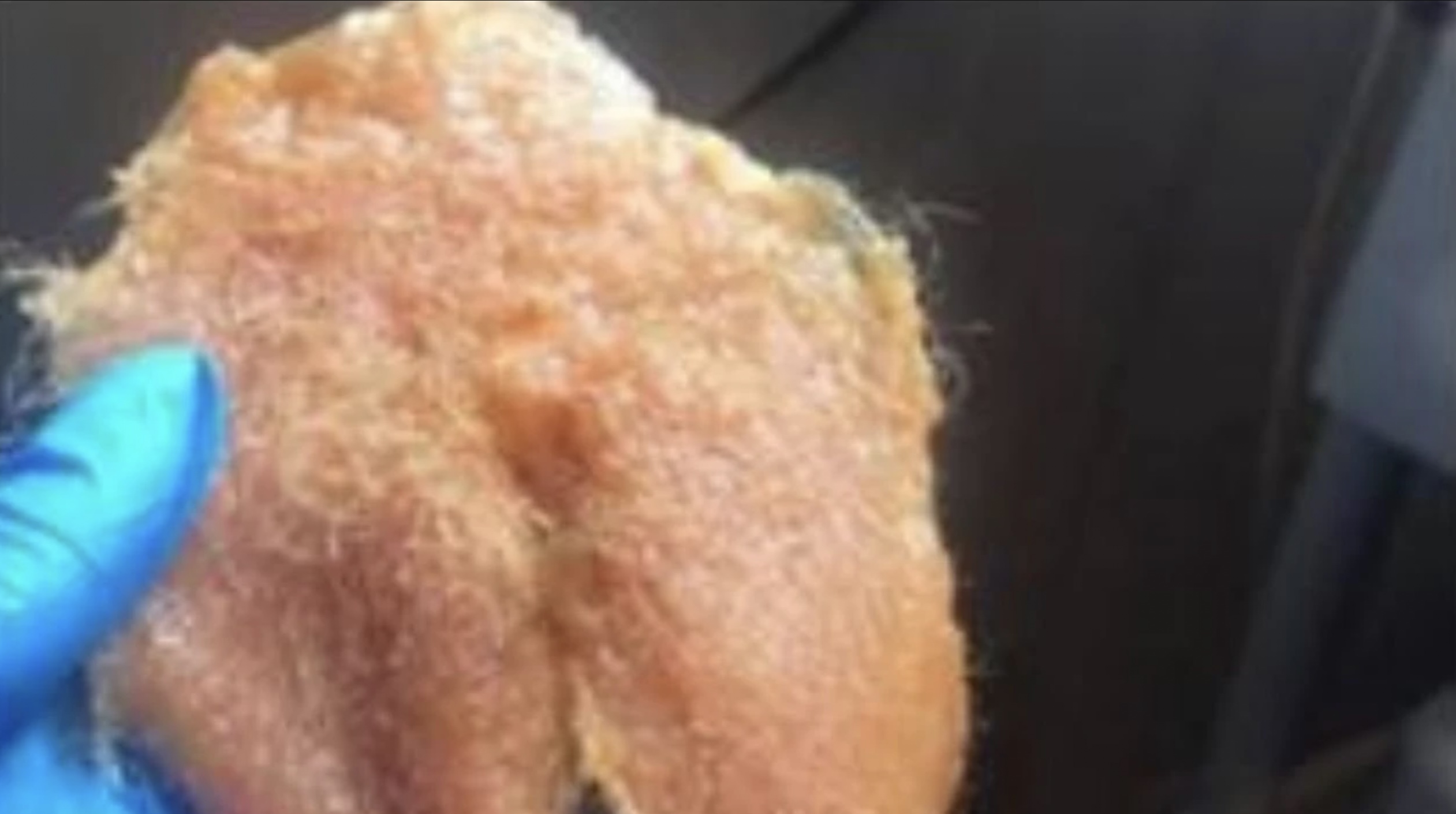 Jelke: “Ik belandde in het ziekenhuis na een bikiniwax”