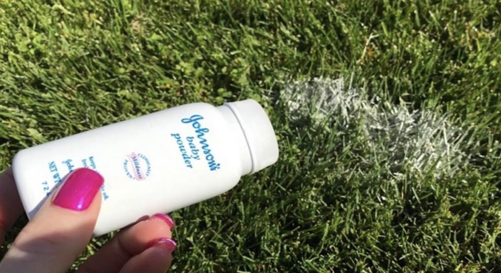 LET OP: Dit is de reden dat je vandaag nog talkpoeder in je tuin moet strooien