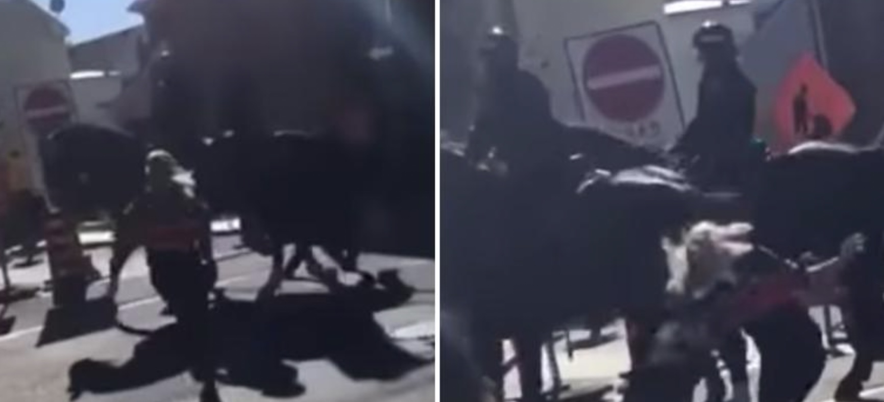 KARMA: Vrouw slaat politiepaard, maar krijgt daar onmiddellijk spijt van (video)