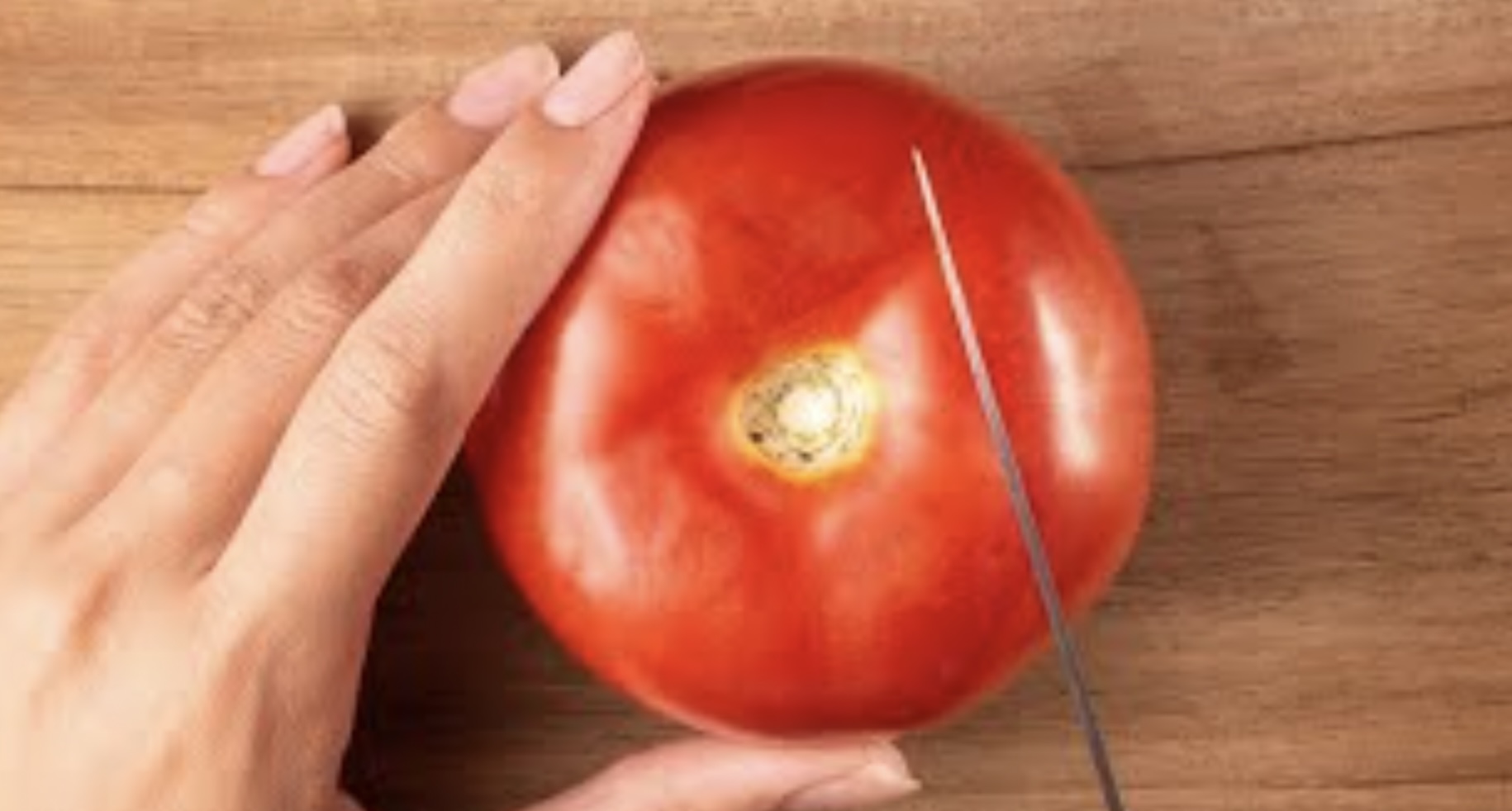 SUPERTIP: Hoe je met één tomaat al een hele tuin vol tomaten kunt kweken