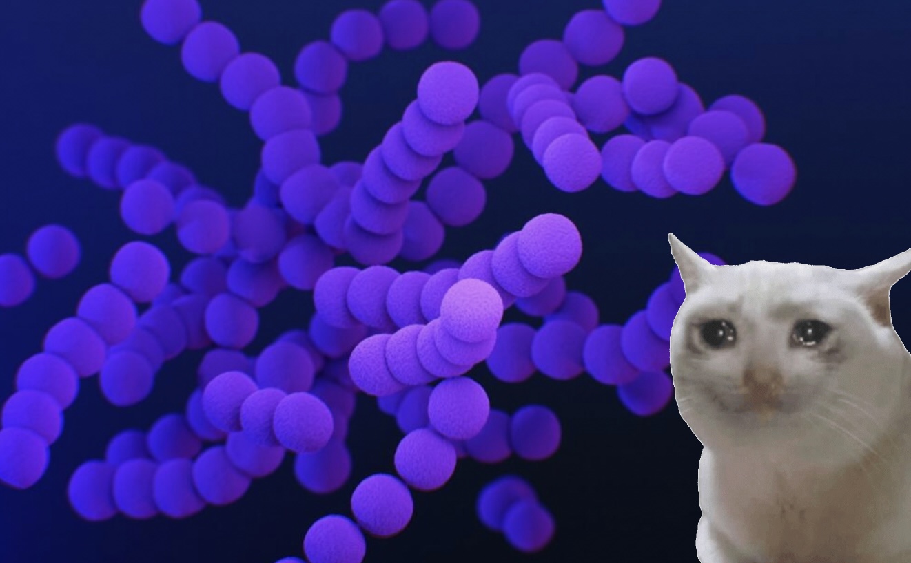 Dringende waarschuwing aan huisdiereigenaren ivm ‘nieuw dodelijk virus’