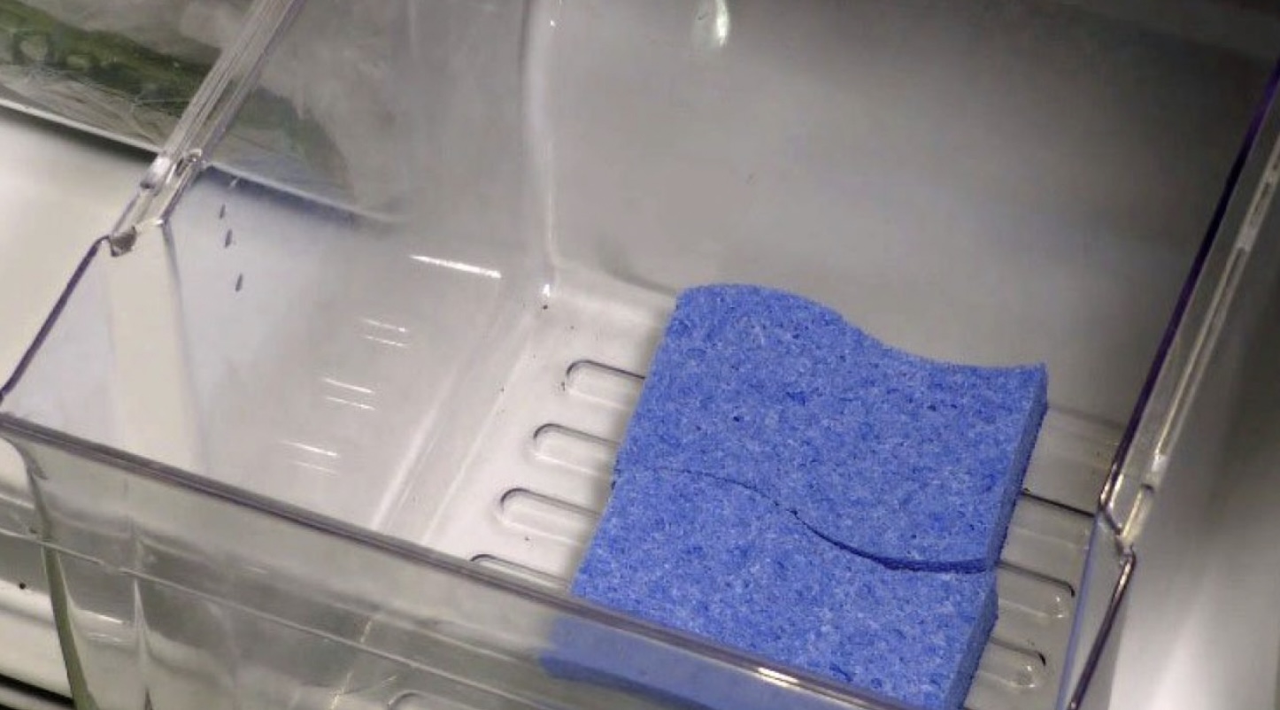 Leg eens een spons in je koelkast en kijk wat er vervolgens gebeurt!