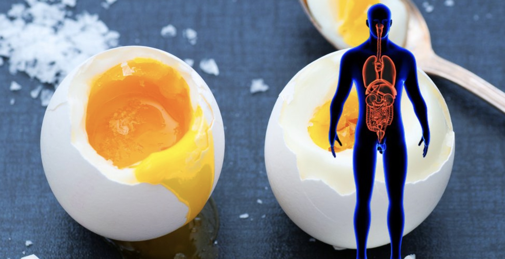 Dit gebeurt er met je lichaam als je een maand lang iedere dag een ei eet (werkt echt)