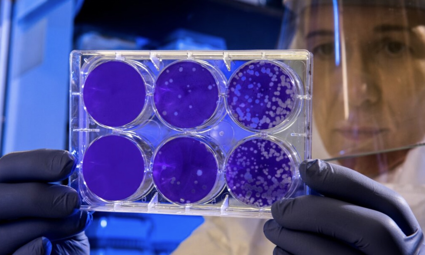 ‘Een DNA-test bracht de 22-jarige affaire van mijn man met mijn moeder aan het licht’