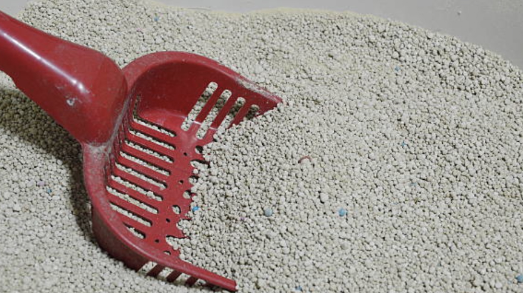 Bah, een stinkende kattenbak. Pas dit trucje toe en je hebt geen last meer van vieze geurtjes!