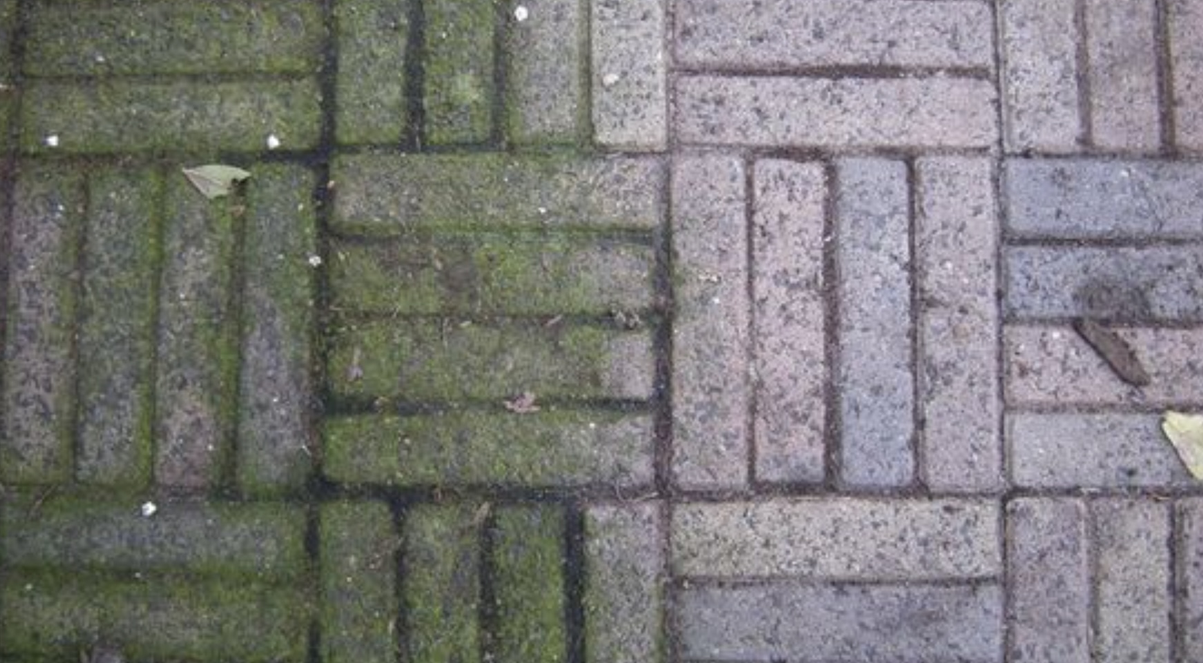 Met dit trucje kun jij binnen één minuut groene aanslag verwijderen van je tegels