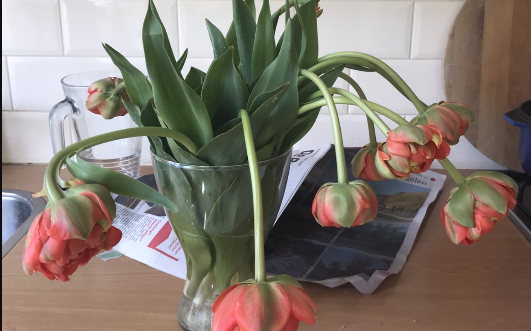 WOW: Nooit meer hangende tulpen met deze handige truc