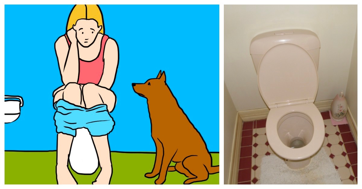 Dit is de ėchte reden waarom jouw hond je altijd naar het toilet volgt (je verwacht het niet!)