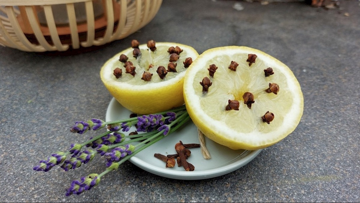 Stop kruidnagel in een citroen en houdt insecten op afstand!