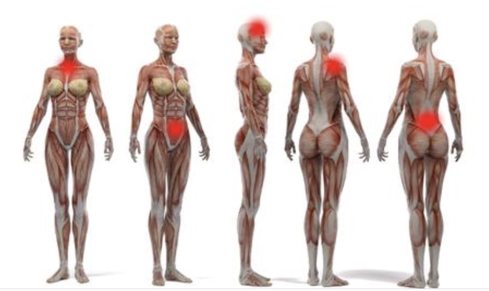 11 symptomen die op schildklieraandoeningen kunnen duiden. (zo detecteer je ze tijdig)