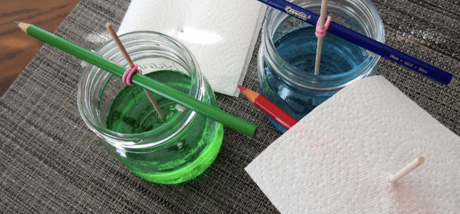 Dit is wat er gebeurt wanneer je een satéprikker in een pot gekleurd water legt!