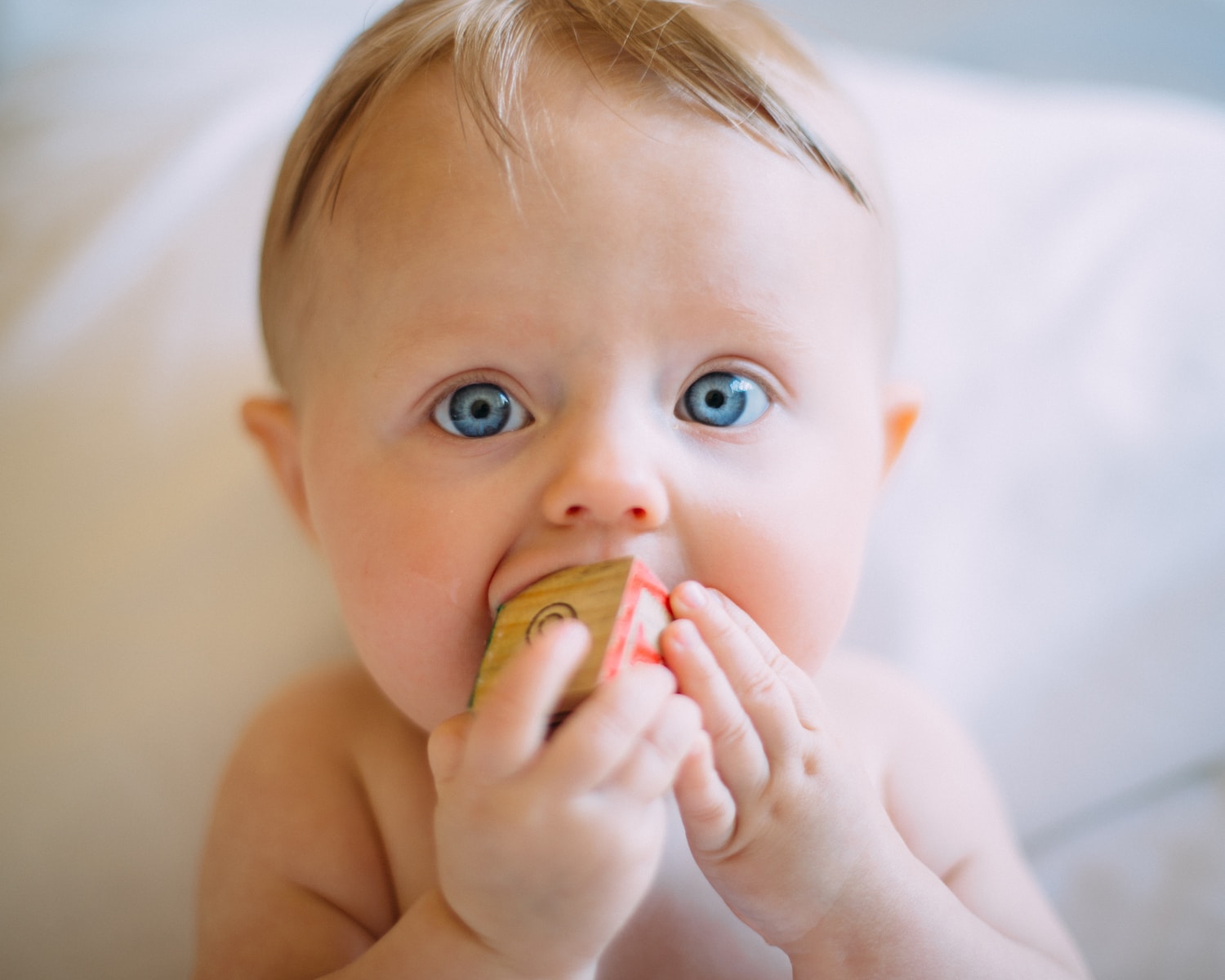 Selective focus photography of baby holding wooden cube