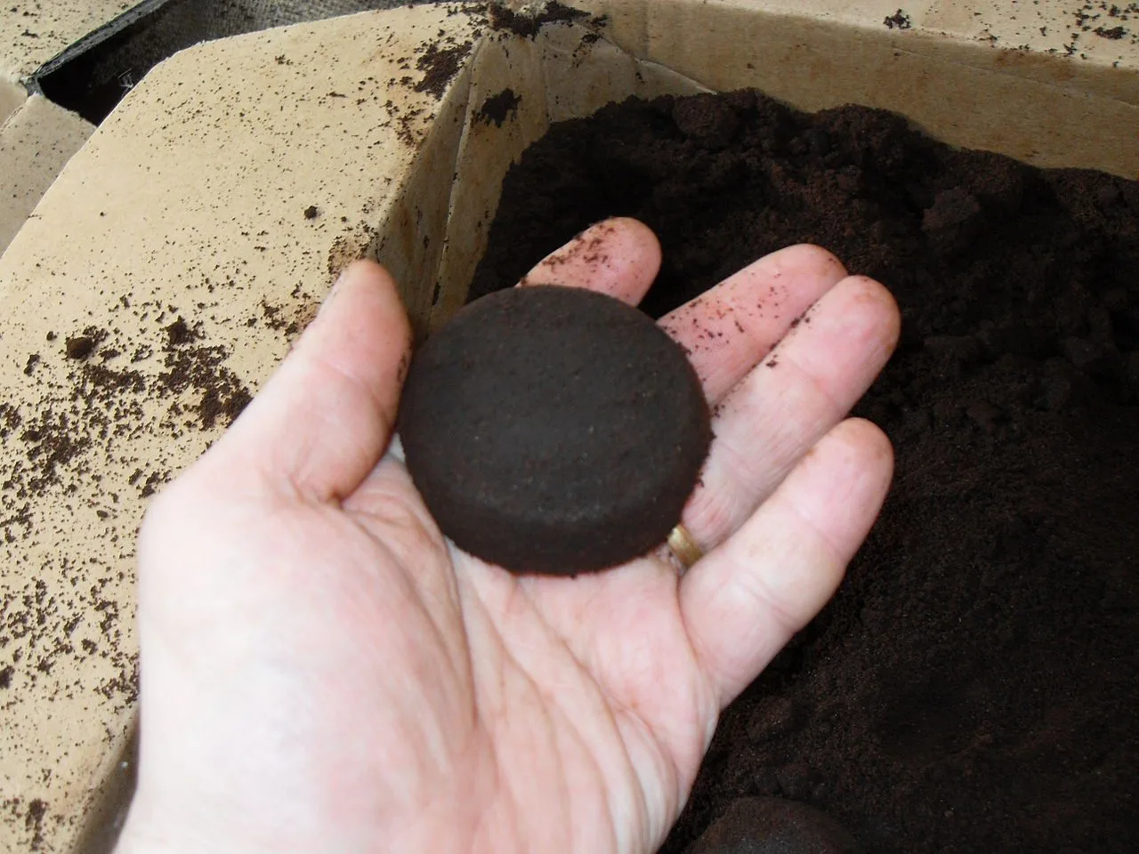 Als je ziet wat je allemaal met oud koffiedik kunt doen gooi je het nooit meer weg…