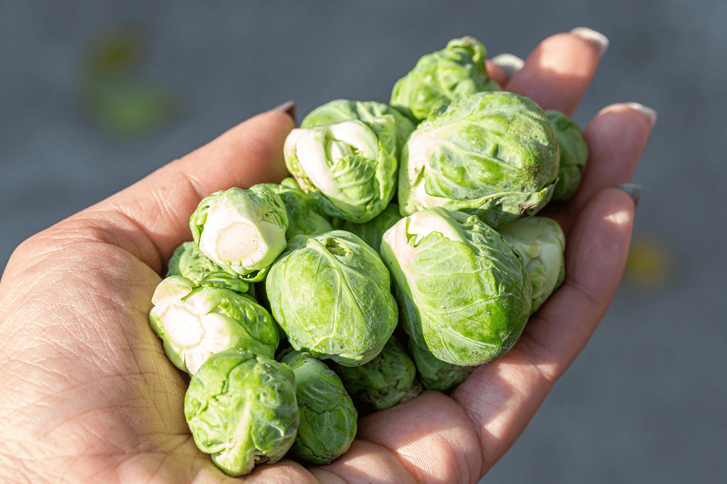 Moeite met spruitjes? Deze ovenschotel met spruitjes vindt iedereen lekker!