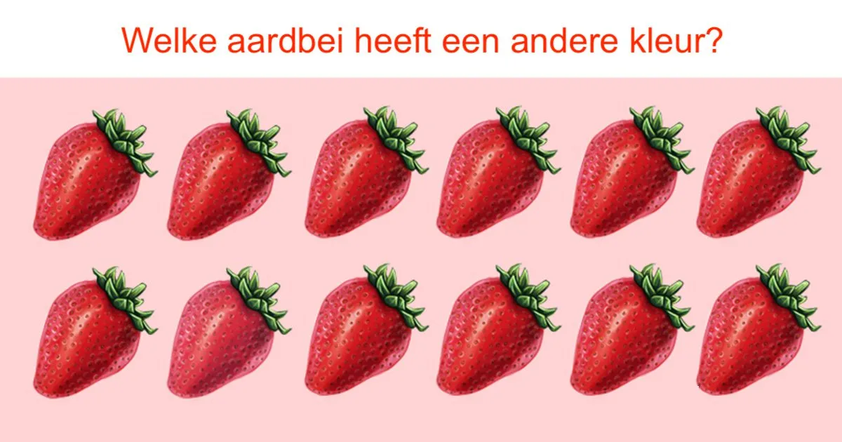 Welke aardbei heeft een andere kleur dan de anderen?