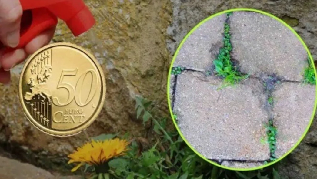 Met slechts 50 cent ben je voortaan verlost van onkruid en groene aanslag in je tuin