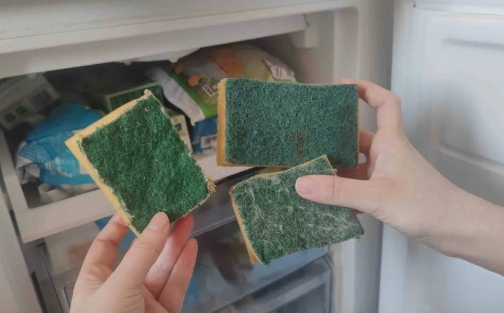 Leg 3 schuursponzen in de vriezer en kijk wat er na een tijdje gebeurt (werkt echt!)