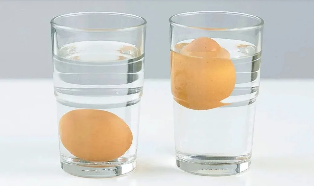 Oma’s tip: Op deze simpele manier hou je je eieren veel langer vers