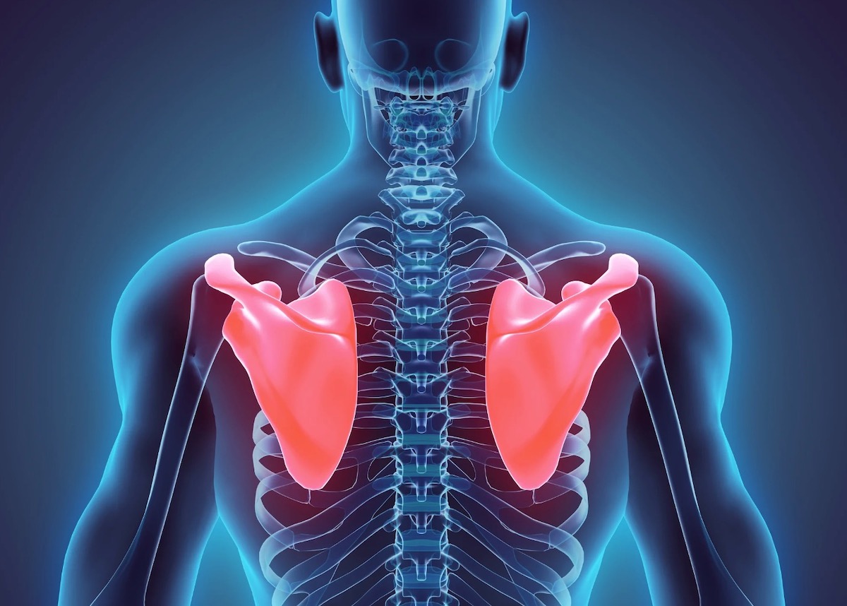 Snel pijn tussen de schouderbladen? Dit zou weleens de reden kunnen zijn…