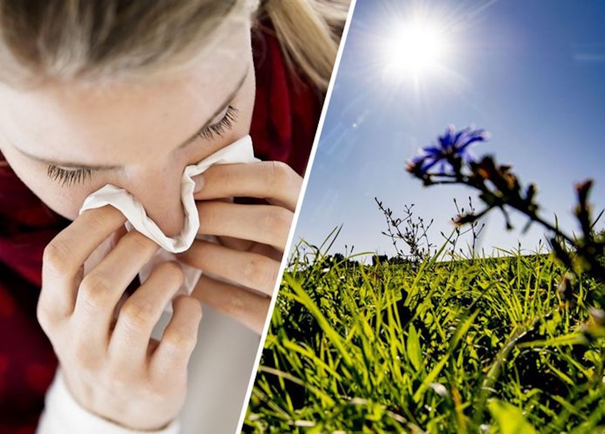 Pollenexplosie dit jaar vroeg van start! En zo heb je er bijna geen last meer van!