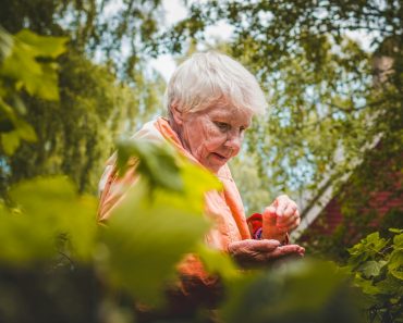 Shallow Focus Photo of Woman Near Plants