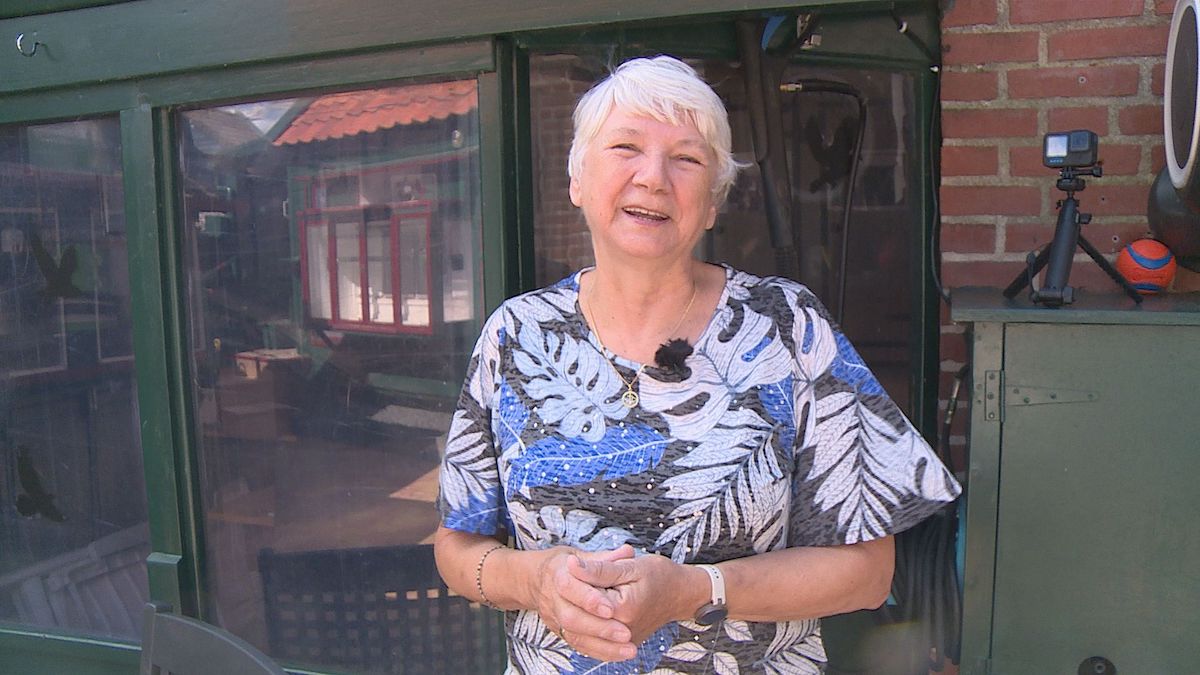 Jannie (72) en haar 150 duiven zijn een hit: “Het is een leuke sport voor jongeren”
