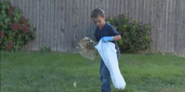 Luca (6) schept hondenpoep op om asielkat te adopteren