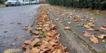 Bladeren op de stoep: moet jij ze eigenlijk opruimen?