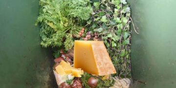 Deze 7 dingen mogen dus echt niet in de GFT-bak!