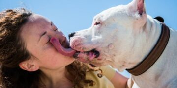 Eindelijk antwoord: moet je je handen wassen na het aaien van je huisdier en is gelikt worden erg?