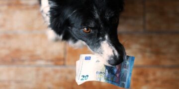 Het hebben van een hond wordt nóg duurder (dit is hoeveel)