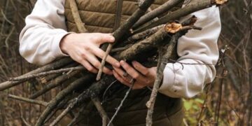 Verwarmingskosten verlagen: mag je zomaar brandhout verzamelen in het bos?
