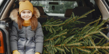 Mag de kerstboom uit de auto steken of kan je een boete krijgen? Dit is het antwoord!