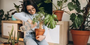 Deze plant past perfect in huis volgens jouw sterrenbeeld!