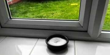 Ze plaatst en schaaltje zout op het vensterbank. Waarom? Perfect!