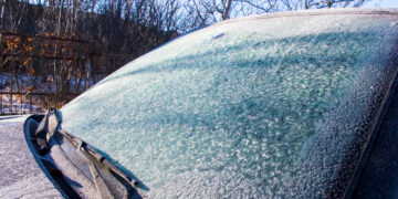 Onthouden: zo hoef je never nooit meer te krabben!