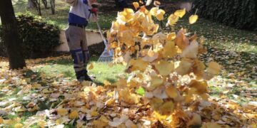 Help! Mijn buurman wilt de bladeren van zijn boom in mijn tuin niet opruimen. Wat moet ik doen?