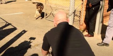 VIDEO: Man herenigt zich met zijn voormalige strijdmakker die hij al jaren niet heeft gezien