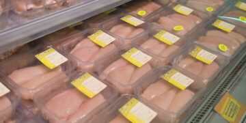 Advies van slager: ”Stop nu met het kopen van kipfilets”