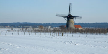 Wees gewaarschuwd: er gaat een stuk meer sneeuw vallen dan verwacht – hier valt tot 20 centimeter!!