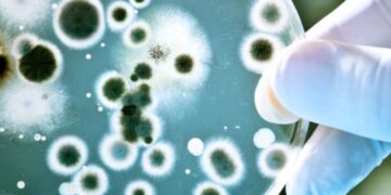 RIVM waarschuwt: nieuw virus verspreid zich razendsnel door ons land: “Eet dit niet!”