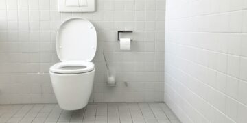 white toilet bowl with cistern