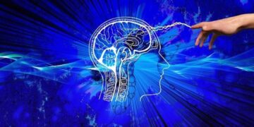 Belangrijk: Eet dit soort koolhydraten om je hersenen gezond te houden